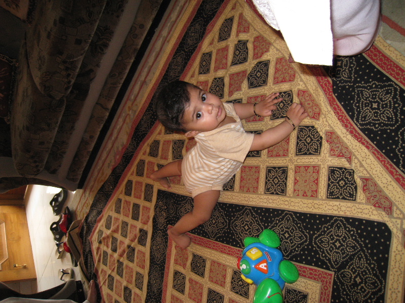 Picture 003.jpg